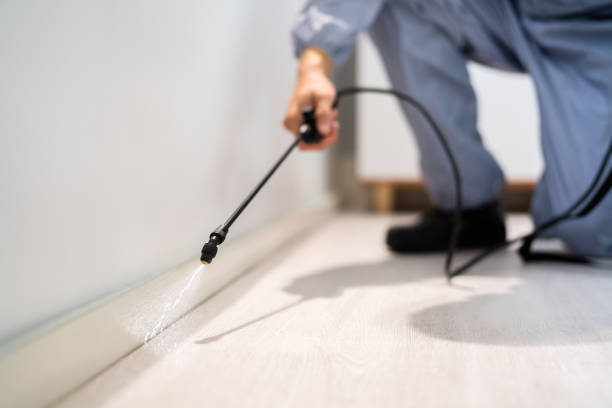 Bed Bug Pre-Treatment Preparation Assessment in Fairfield